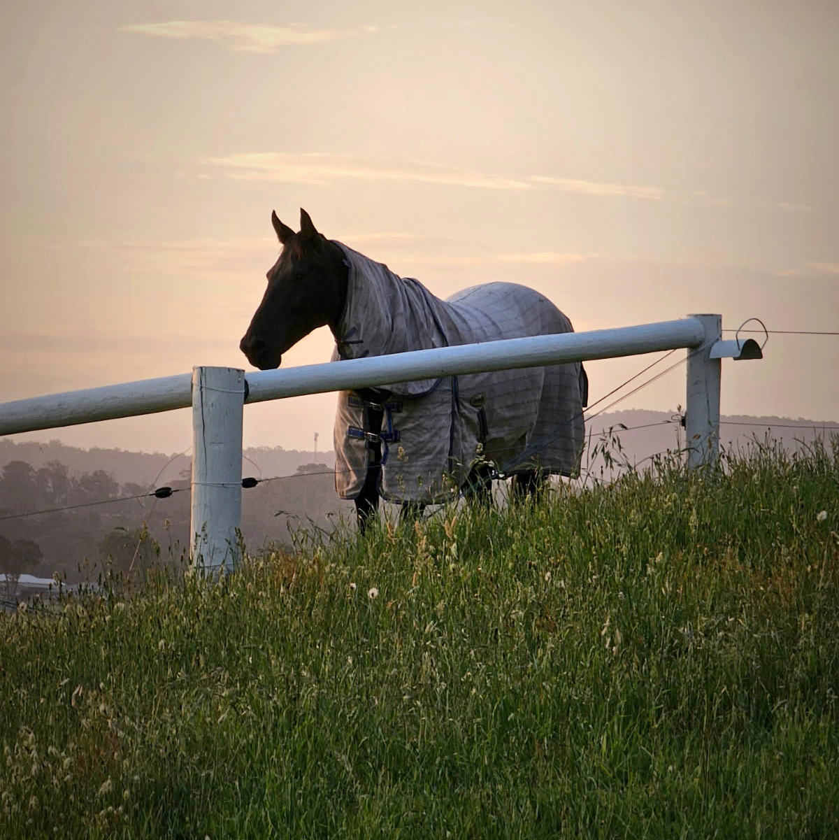 Common Questions Answered