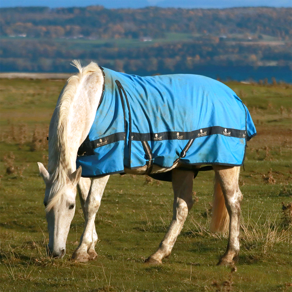 The perfect solution